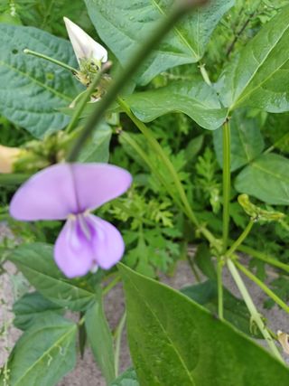 임상빈님의 자유주제 · 자유게시판 작성글 사진