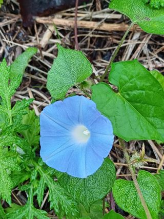 임상빈님의 자유주제 · 자유게시판 작성글 사진