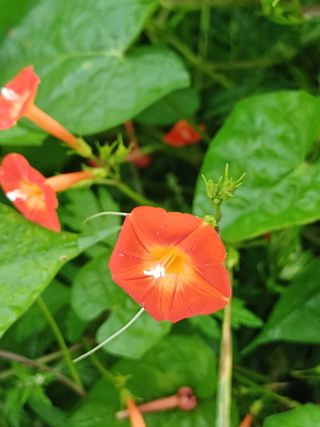 임상빈님의 자유주제 · 자유게시판 작성글 사진