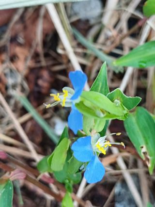 임상빈님의 자유주제 · 자유게시판 작성글 사진