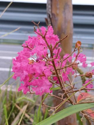 임상빈님의 자유주제 · 자유게시판 작성글 사진