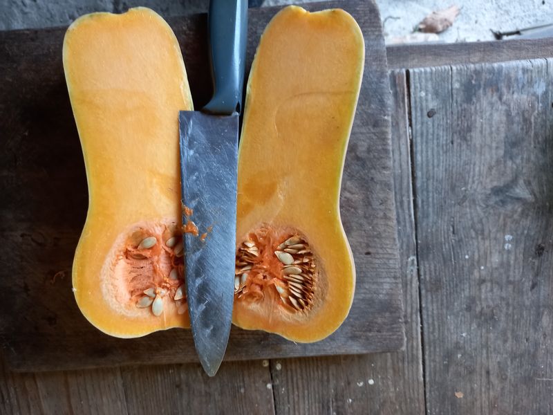 권오성님의 장터 판매 상품 [풀과의 싸움 이네요...] 첨부 사진