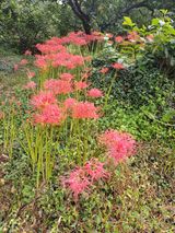 팜모닝 자유주제·자유게시판 게시글 이미지