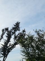 팜모닝 윷놀이 끝! 어떠셨나요?·참여글 게시글 이미지