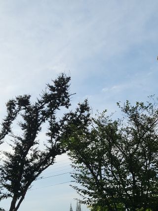 유난영님의 윷놀이 끝! 어떠셨나요? · 참여글 작성글 사진