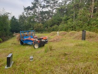 유자황칠님의 벼 · 영농일지 작성글 사진