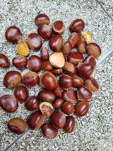 팜모닝 자유주제·자유게시판 게시글 이미지