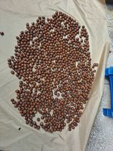 해남댁님의 자유주제·자유게시판 작성글 사진