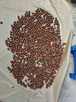 해남댁님의 자유주제 · 자유게시판 작성글 사진