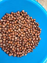 해남댁님의 자유주제·자유게시판 작성글 사진