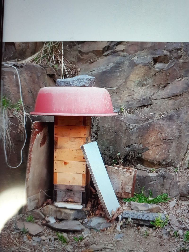 장터 상품 [토종벌꿀] 썸네일