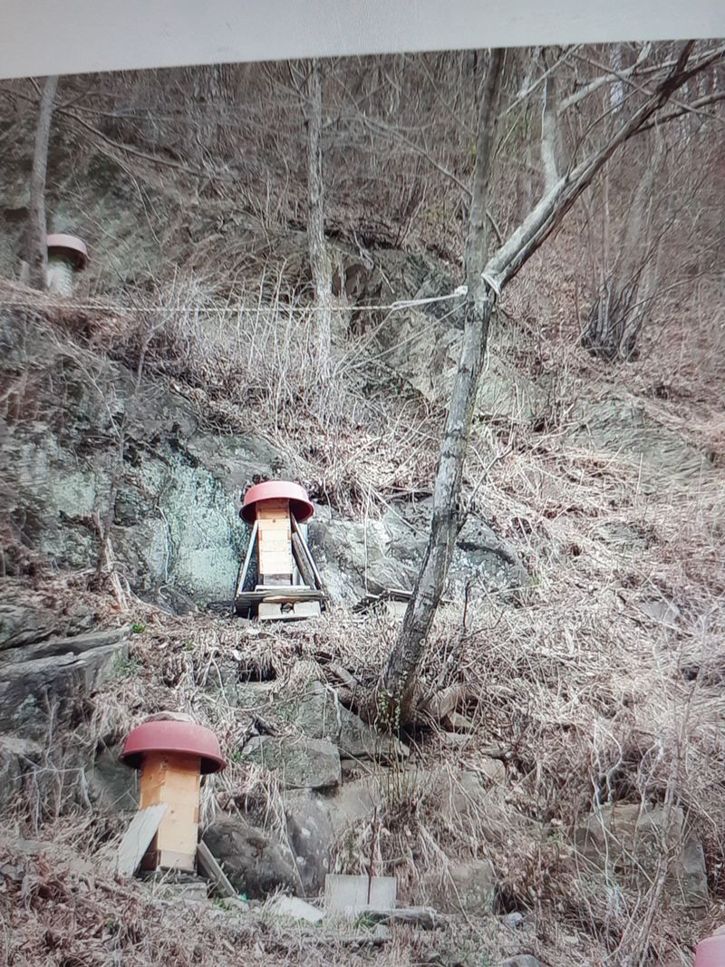 순한걸 님의 장터 판매 상품 [토종벌꿀] 첨부 사진