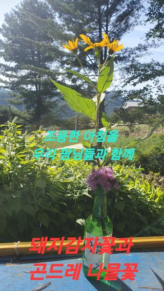 인생은 소풍처럼님의 자유주제 · 사진전 작성글 사진