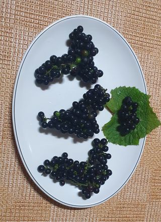 인생은 소풍처럼님의 자유주제 · 사진전 작성글 사진