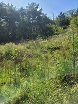 팜모닝 윷놀이 끝! 어떠셨나요?·참여글 게시글 이미지