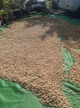 충열사호랑이님의 장터이야기 · 자유게시판 작성글 사진