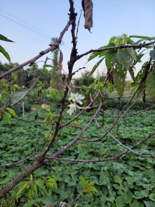 박정희 님의 자유주제 · 자유게시판 작성글 사진