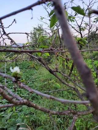 박정희 님의 자유주제 · 자유게시판 작성글 사진