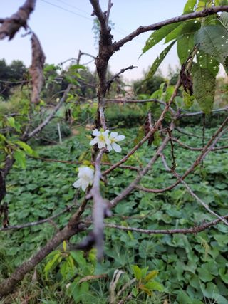 박정희 님의 자유주제 · 자유게시판 작성글 사진