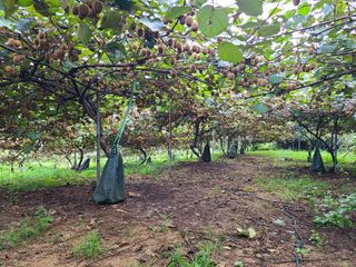 노고단님의 기타작물 · 자유게시판 작성글 사진