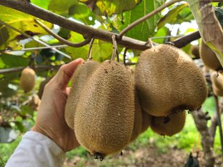 노고단님의 기타작물 · 자유게시판 작성글 사진