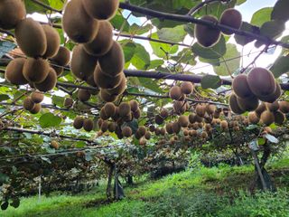 노고단님의 기타작물 · 자유게시판 작성글 사진