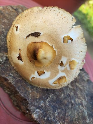 미륵의사랑님의 자유주제 · 건의해요 작성글 사진