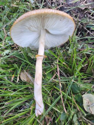 미륵의사랑님의 자유주제 · 건의해요 작성글 사진