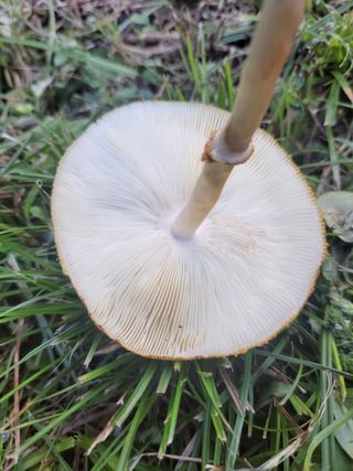 미륵의사랑님의 자유주제 · 건의해요 작성글 사진