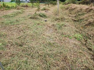 박병한님의 자두 · 영농일지 작성글 사진