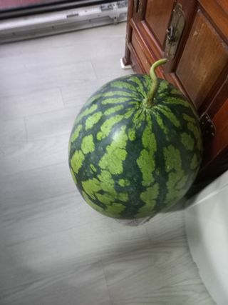 호박16023님의 윷놀이 끝! 어떠셨나요? · 참여글 작성글 사진