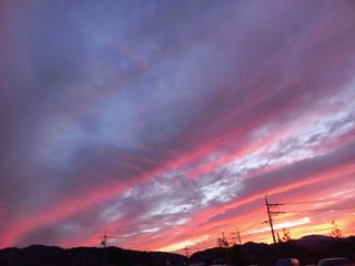 호박16023님의 윷놀이 끝! 어떠셨나요? · 참여글 작성글 사진