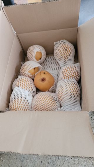 이재욱님의 장터이야기 · 자유게시판 작성글 사진