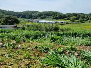 그린1505님의 기타작물 · 자유게시판 작성글 사진