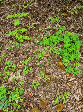 그린1505님의 기타작물 · 자유게시판 작성글 사진