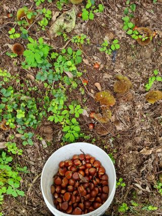 그린1505님의 기타작물 · 자유게시판 작성글 사진