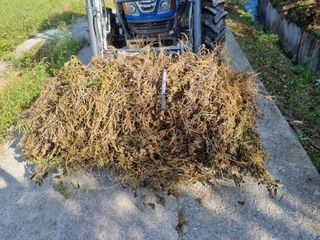 그린1505님의 기타작물 · 자유게시판 작성글 사진