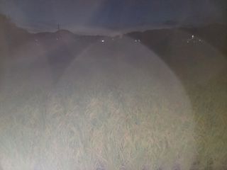 한재승님의 벼 · 영농일지 작성글 사진