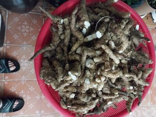 Byh6905님의 작성글 사진