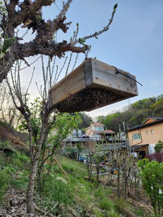 치악산골농부님의 작성글 사진