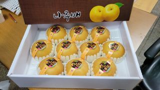 이재욱님의 매일매일 농사공부 · 자유게시판 작성글 사진