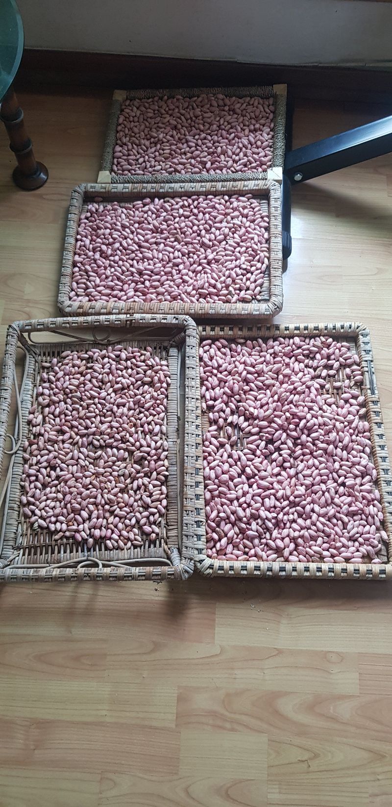 장터 상품 [땅콩 1kg] 썸네일