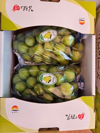 최지훈님의 포도 · 자유게시판 작성글 사진