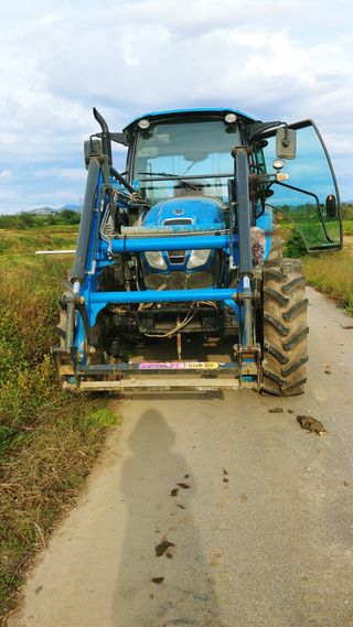 이복길님의 벼 · 영농일지 작성글 사진