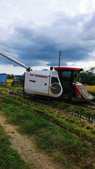 이복길님의 벼 · 영농일지 작성글 사진