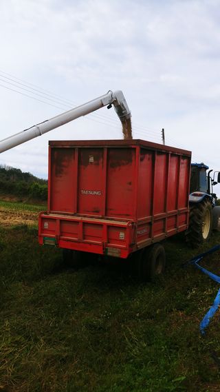 이복길님의 벼 · 영농일지 작성글 사진