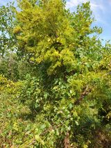 팜모닝 자유주제·자유게시판 게시글 이미지