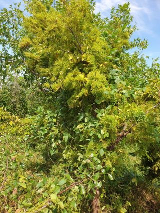 엄영자님의 자유주제 · 자유게시판 작성글 사진