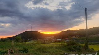 일망무제님의 윷놀이 끝! 어떠셨나요? · 참여글 작성글 사진