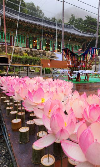 향인님의 윷놀이 끝! 어떠셨나요? · 참여글 작성글 사진
